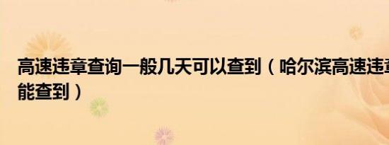 高速违章查询一般几天可以查到（哈尔滨高速违章查询几天能查到）