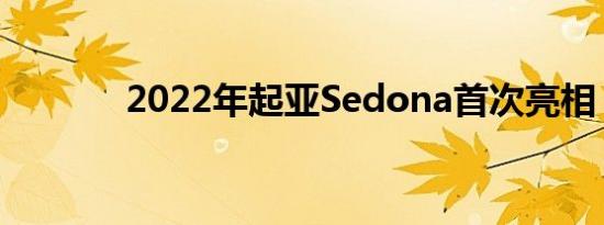 2022年起亚Sedona首次亮相