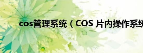 cos管理系统（COS 片内操作系统）