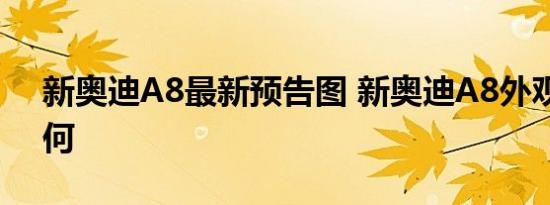 新奥迪A8最新预告图 新奥迪A8外观样式如何