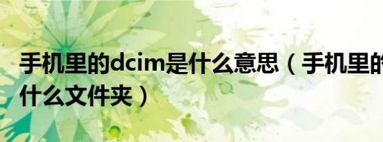 手机里的dcim是什么意思（手机里的dcim是什么文件夹）