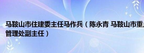 马鞍山市住建委主任马作兵（陈永青 马鞍山市重点工程建设管理处副主任）