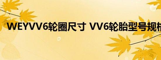 WEYVV6轮圈尺寸 VV6轮胎型号规格参数