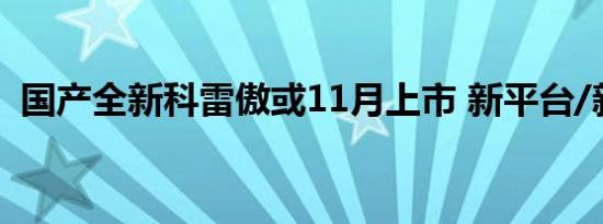 国产全新科雷傲或11月上市 新平台/新设计