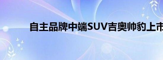 自主品牌中端SUV吉奥帅豹上市