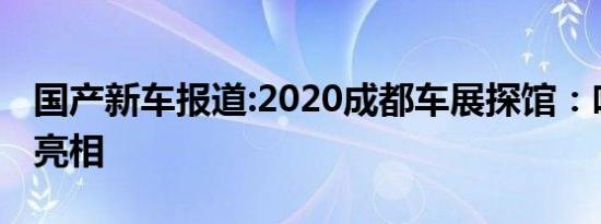 国产新车报道:2020成都车展探馆：哈弗大狗亮相