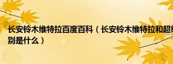 长安铃木维特拉百度百科（长安铃木维特拉和超级维特拉区别是什么）