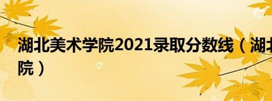 湖北美术学院2021录取分数线（湖北美术学院）