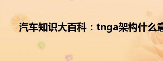 汽车知识大百科：tnga架构什么意思