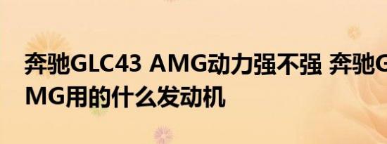 奔驰GLC43 AMG动力强不强 奔驰GLC43 AMG用的什么发动机 