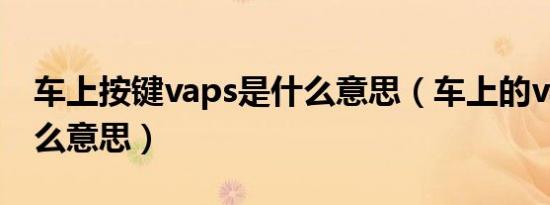 车上按键vaps是什么意思（车上的vaps是什么意思）