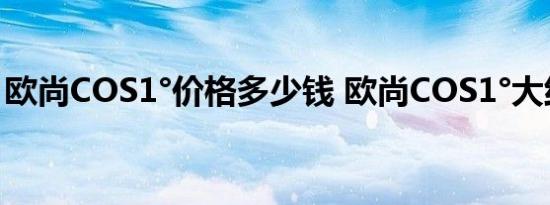 欧尚COS1°价格多少钱 欧尚COS1°大约售价 