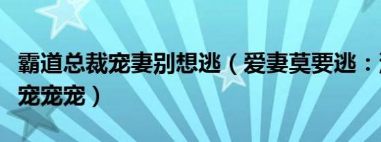 霸道总裁宠妻别想逃（爱妻莫要逃：深情总裁宠宠宠）