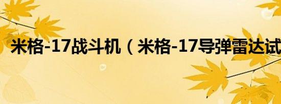 米格-17战斗机（米格-17导弹雷达试验机）