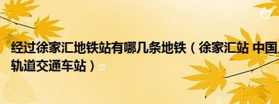 经过徐家汇地铁站有哪几条地铁（徐家汇站 中国上海市境内轨道交通车站）