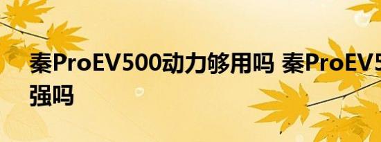 秦ProEV500动力够用吗 秦ProEV500动力强吗 