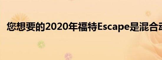 您想要的2020年福特Escape是混合动力车