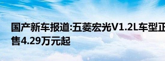 国产新车报道:五菱宏光V1.2L车型正式上市 售4.29万元起