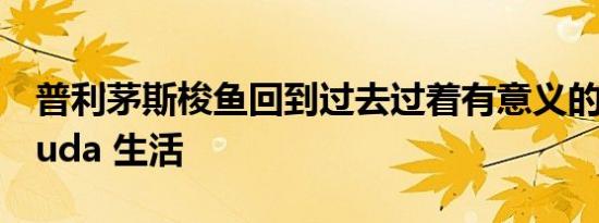 普利茅斯梭鱼回到过去过着有意义的 383ciCuda 生活