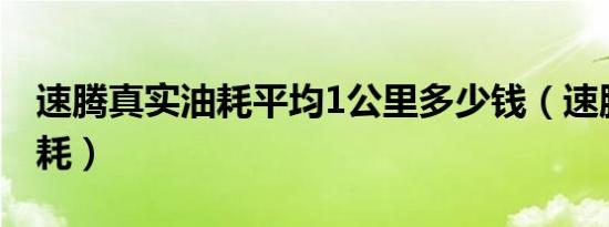 速腾真实油耗平均1公里多少钱（速腾真实油耗）