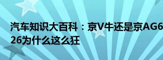 汽车知识大百科：京V牛还是京AG6牛 京V026为什么这么狂