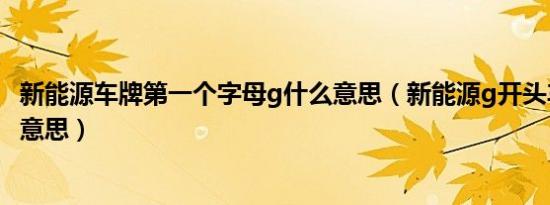 新能源车牌第一个字母g什么意思（新能源g开头车牌是什么意思）