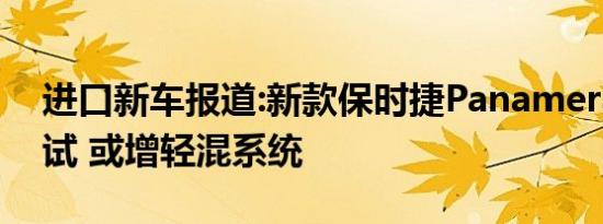 进口新车报道:新款保时捷Panamera正在测试 或增轻混系统