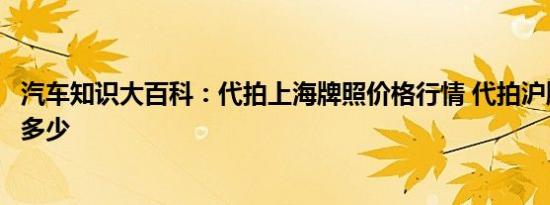 汽车知识大百科：代拍上海牌照价格行情 代拍沪牌一般价格多少