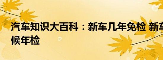 汽车知识大百科：新车几年免检 新车什么时候年检