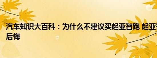 汽车知识大百科：为什么不建议买起亚智跑 起亚智跑买了好后悔