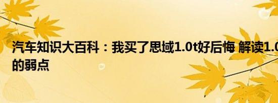 汽车知识大百科：我买了思域1.0t好后悔 解读1.0t思域三缸的弱点