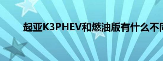 起亚K3PHEV和燃油版有什么不同 