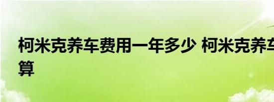 柯米克养车费用一年多少 柯米克养车成本计算