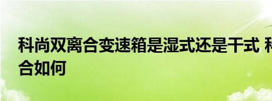 科尚双离合变速箱是湿式还是干式 科尚双离合如何 