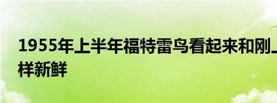 1955年上半年福特雷鸟看起来和刚上市时一样新鲜