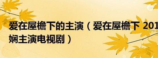 爱在屋檐下的主演（爱在屋檐下 2011年文颂娴主演电视剧）