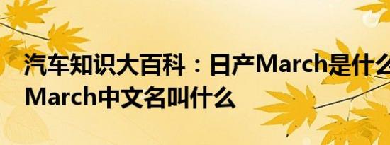 汽车知识大百科：日产March是什么车 尼桑March中文名叫什么