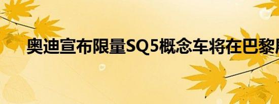 奥迪宣布限量SQ5概念车将在巴黎展出