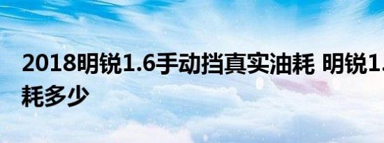 2018明锐1.6手动挡真实油耗 明锐1.6平均油耗多少 