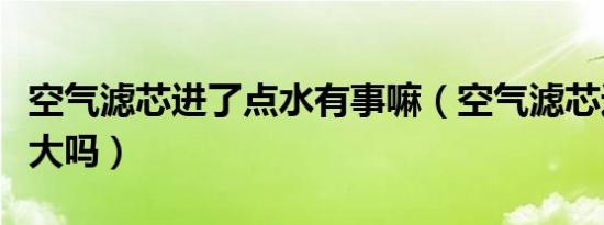 空气滤芯进了点水有事嘛（空气滤芯进水问题大吗）