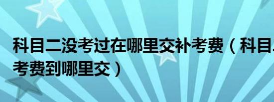 科目二没考过在哪里交补考费（科目二没过补考费到哪里交）