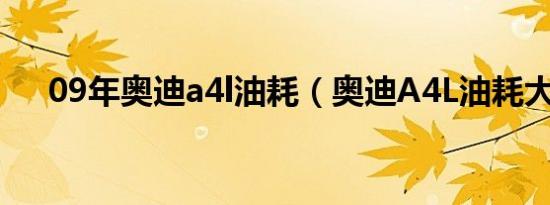 09年奥迪a4l油耗（奥迪A4L油耗大吗）