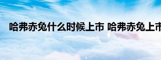 哈弗赤兔什么时候上市 哈弗赤兔上市时间