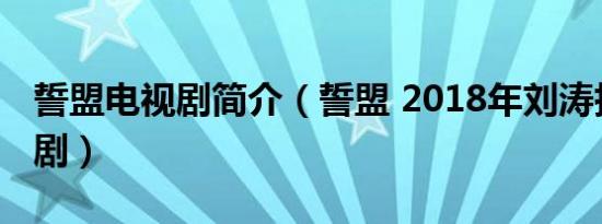 誓盟电视剧简介（誓盟 2018年刘涛执导电视剧）