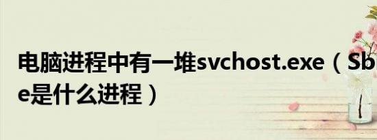 电脑进程中有一堆svchost.exe（SbieSvc.exe是什么进程）