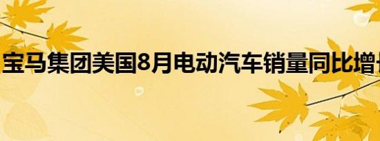 宝马集团美国8月电动汽车销量同比增长6.2％