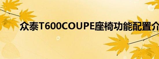 众泰T600COUPE座椅功能配置介绍