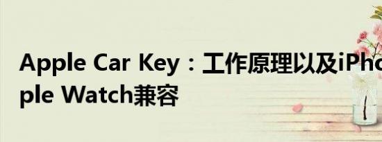 Apple Car Key：工作原理以及iPhone和Apple Watch兼容