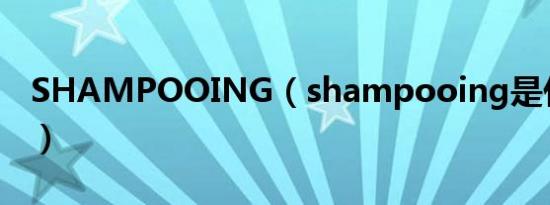 SHAMPOOING（shampooing是什么意思）