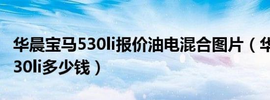 华晨宝马530li报价油电混合图片（华晨宝马530li多少钱）